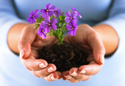 Socially Responsible Investing - Green Investing - Values-based Investing